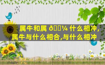 属牛和属 🌼 什么相冲,属牛与什么相合,与什么相冲